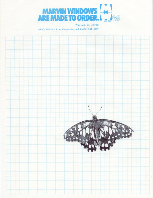 Neva Hosking: Butterfly I (2024)
